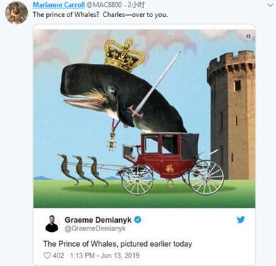 英国威尔士亲王变“鲸鱼亲王”？特朗普推特又犯错