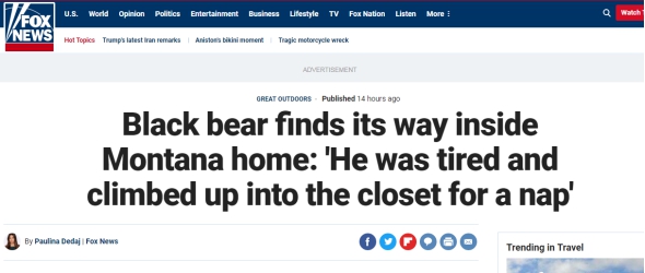 美国蒙大拿州一黑熊“闯”民宅：衣柜里“打盹”，还上了“锁”