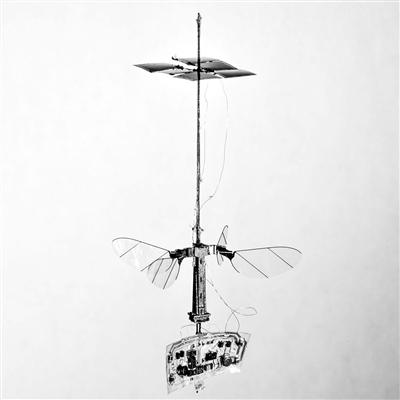 美哈佛大学团队研发仿飞行昆虫无缆机器人 可用于在狭窄空间执行环境监测或导航任务