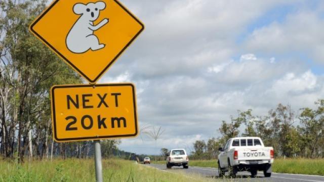 澳洲4名儿童偷车出去“自驾游”，2天跑了上千公里