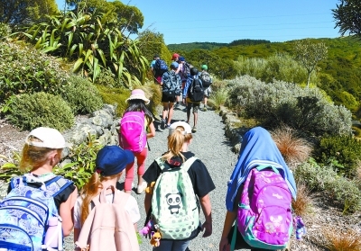 新西兰小学一年级学生暑假户外实践 徒步三小时