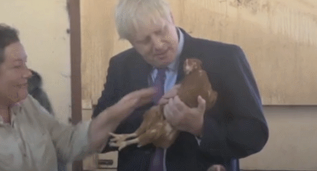 曾在演讲中掏出腌鱼的英国新首相，这次谈脱欧又抱起一只鸡