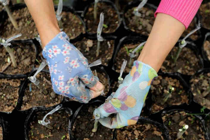 复苏的“空巢村”——古兰屯的新生
