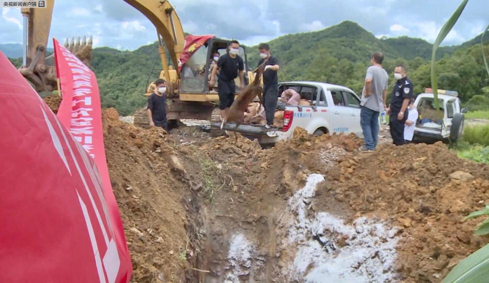 医生有嘻哈！说唱神曲《我是医生不是神》，好听到炸裂！