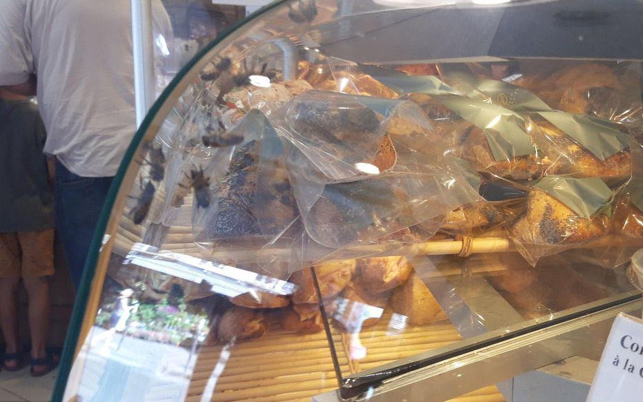 法国数百蜜蜂因蜂巢被毁 涌进一面包店内