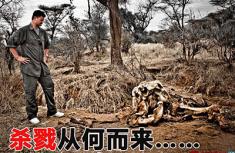 《姚明非洲日记》——杀戮从何而来