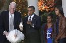感恩节来临 奥巴马“特赦”火鸡科布勒