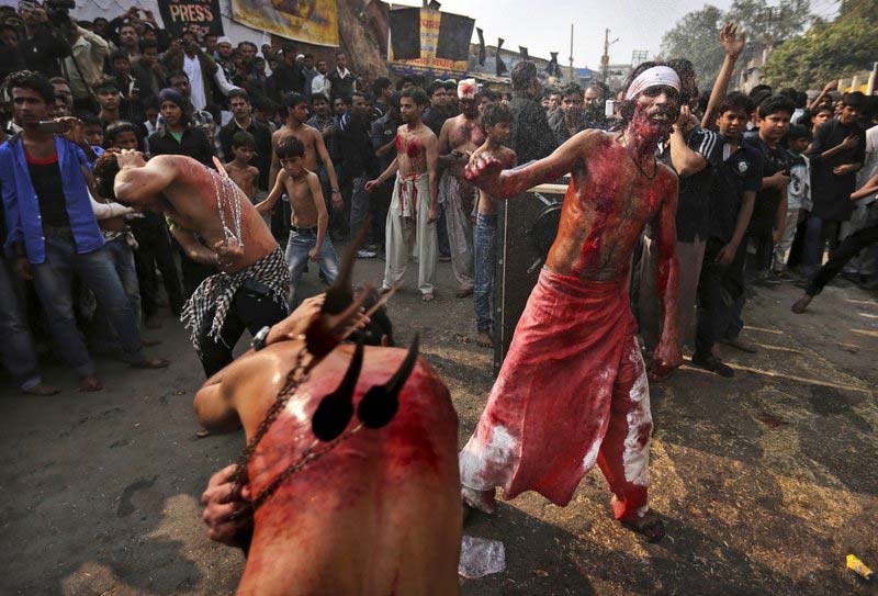 全球穆斯林"自残"庆祝阿舒拉节