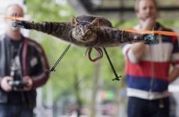 图说2012之最牛的发明