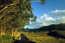 世界十大最差旅游城市出炉 犯罪泛滥专宰游客