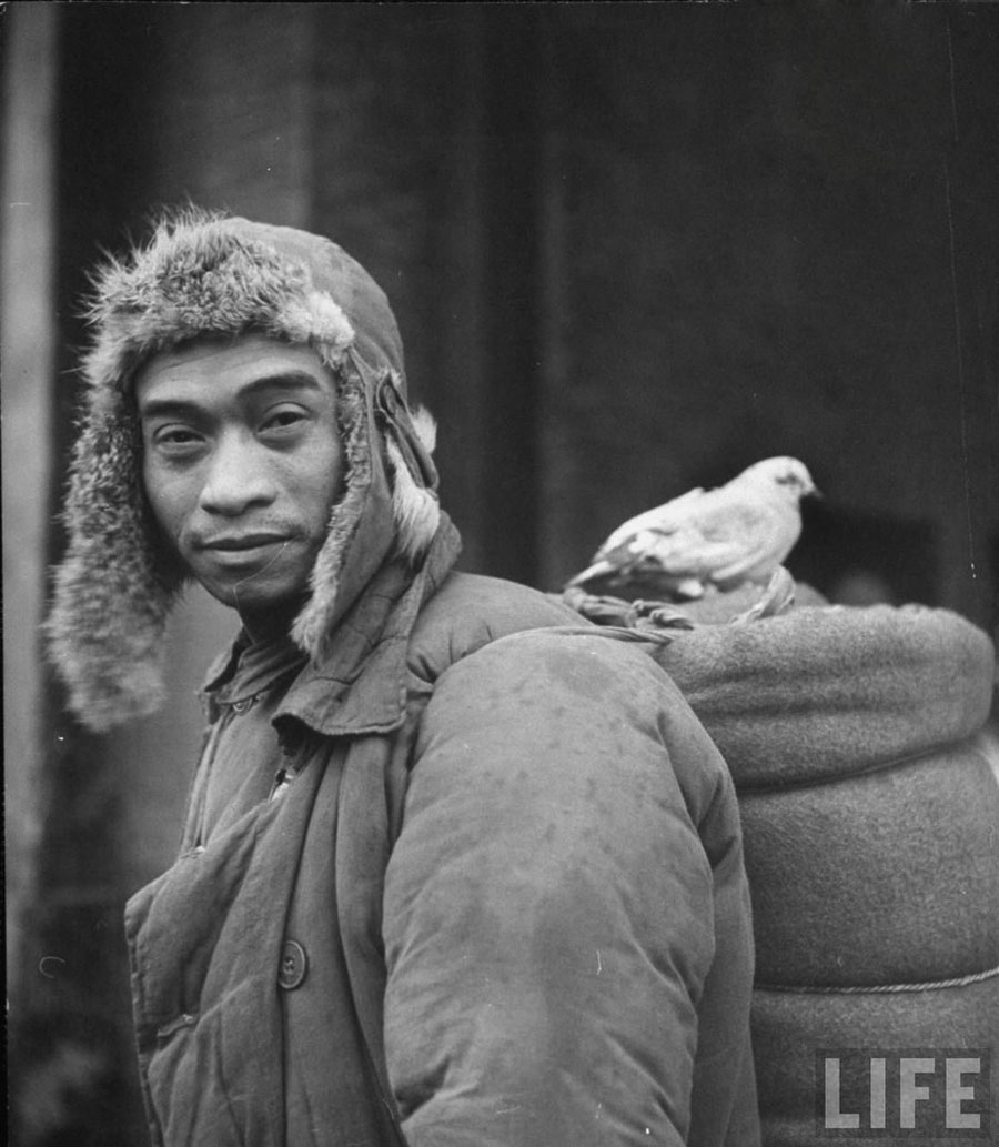 这是一组1949年国民党军队仓皇撤往长江流域的罕见老照片.