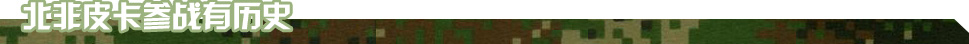 北非皮卡参战有历史
