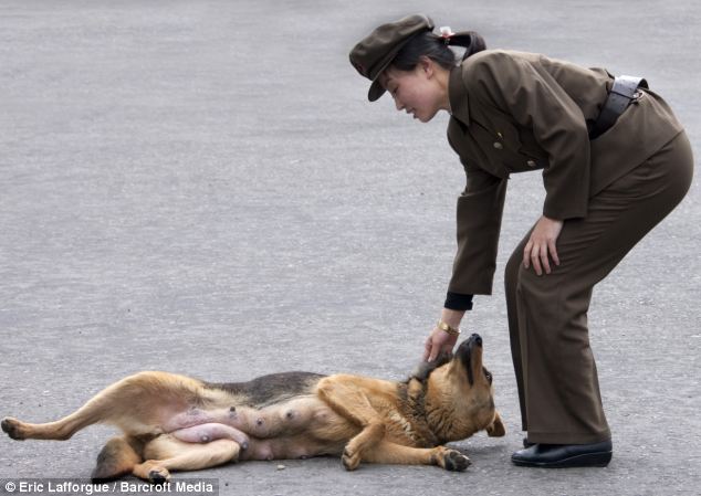 法摄影师镜头下朝鲜士兵的另一面(2/16)