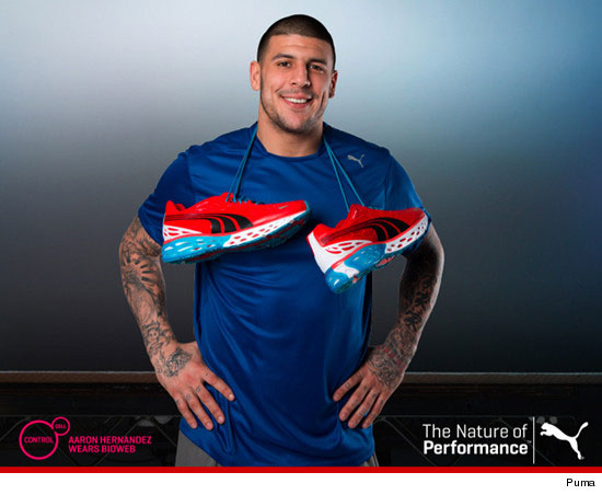 乐叶接线盒南德证书样本