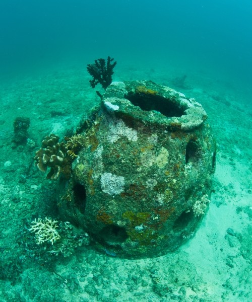 探索水下神奇 盘点世界十大壮观人工鱼礁(组图)