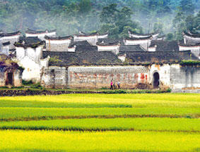 湖南永州周家大院：莲荷香溢600年