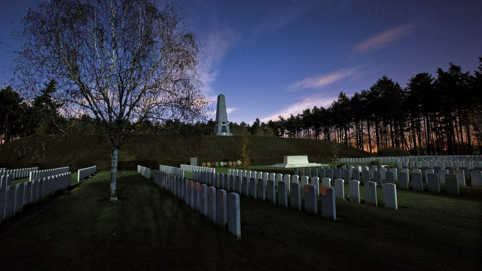 英媒盘点一战无名英雄墓向战士致敬