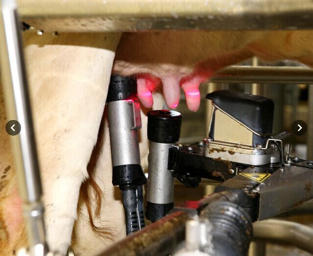 如何在澳门看赛马,白小姐中特网 ,大赢家足球即时比分中日北海道乳