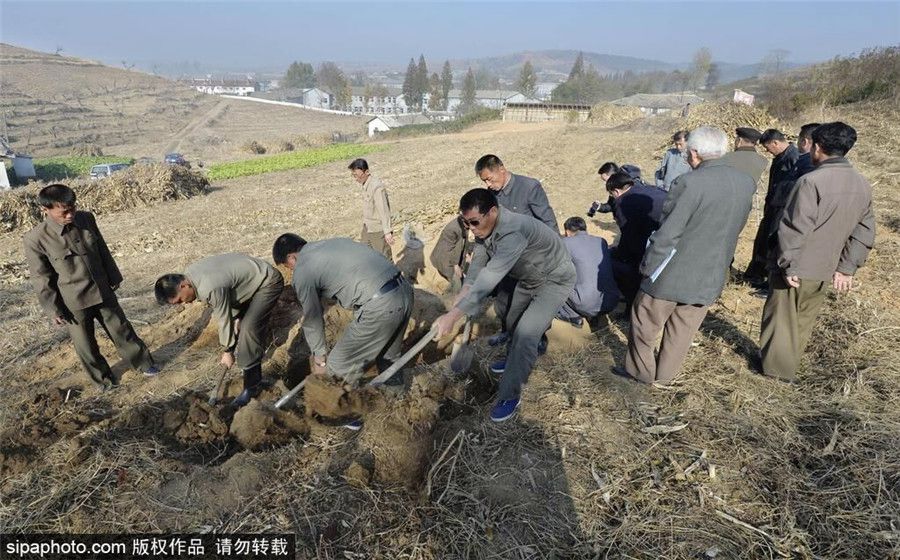 朝鲜东部新发现二战日本士兵遗骸
