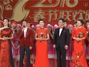 2016央视春晚主持人出场 众分会场亮相  