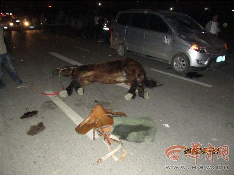 接到报警后,渭南市公安局交警支队临渭大队事故预防