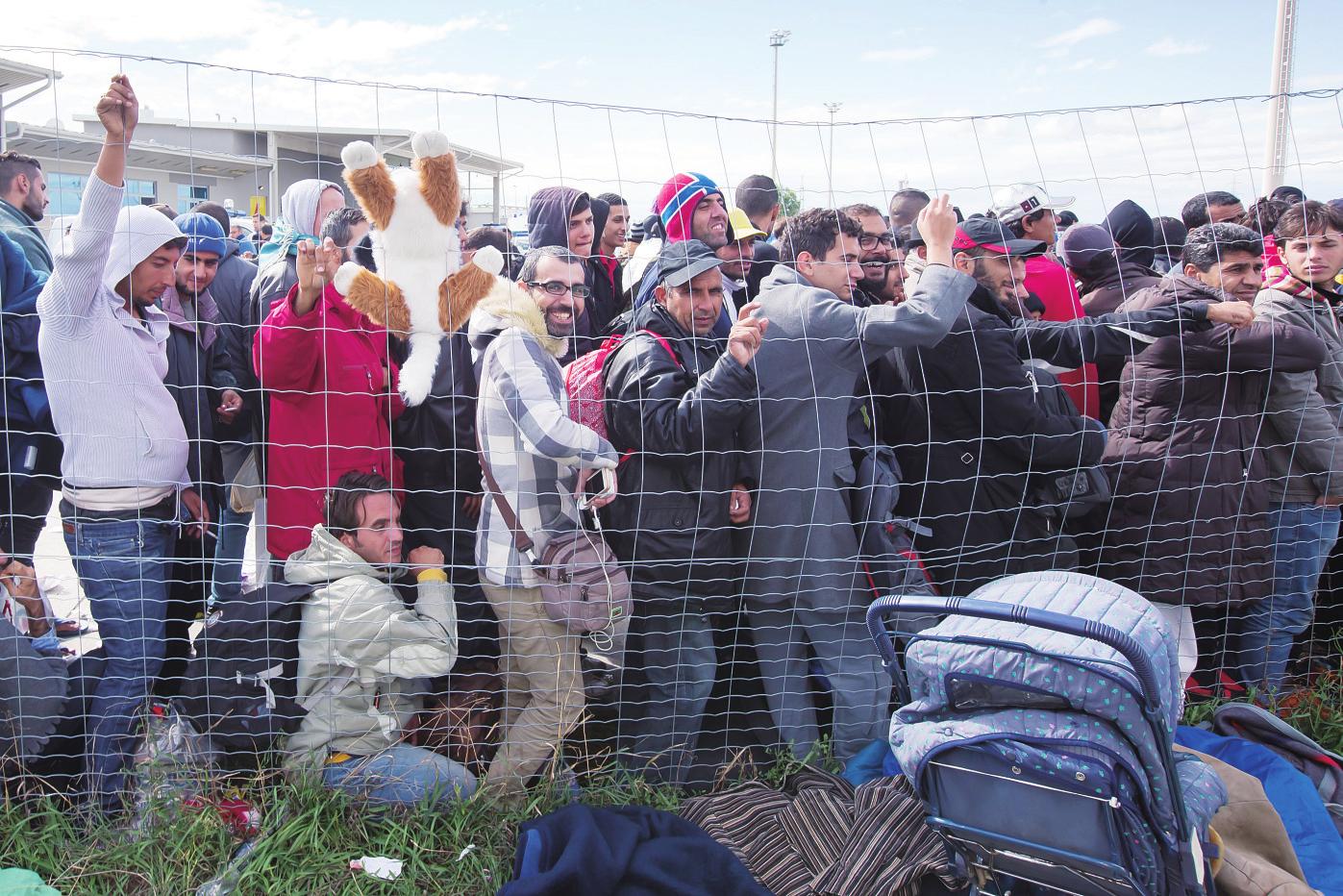 世界货币基金组织呼吁德国为难民就业提供更多便利