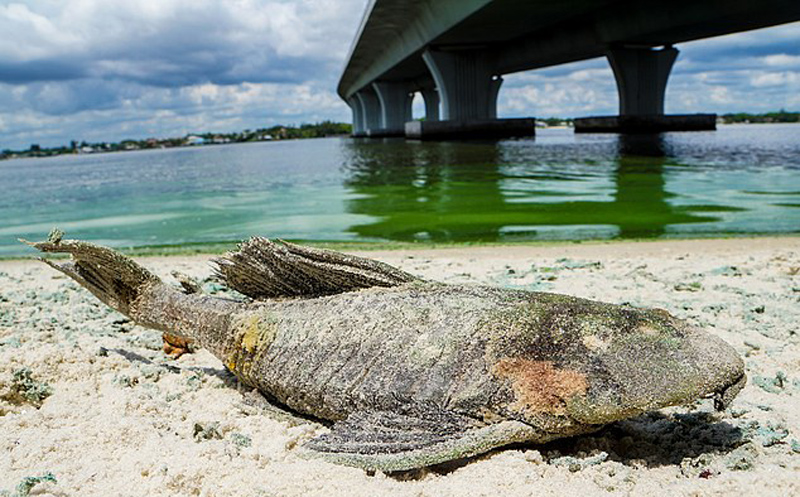 浙江卫视奔跑吧兄弟第四季总部热线电话