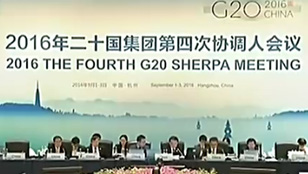 G20第四次协调人会举行