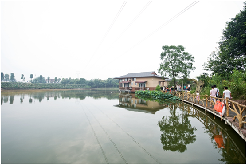 九龙坡：“互联网+美丽乡村”助推农业产业发展