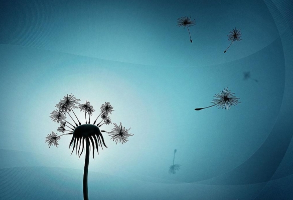 阿里旅行的“微创新”：是富二代的“雕虫小技”？