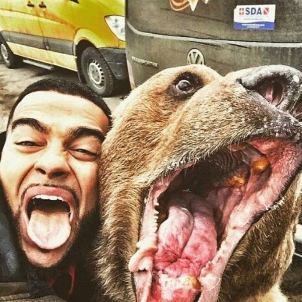 给你们的搞笑拼搏精神点赞