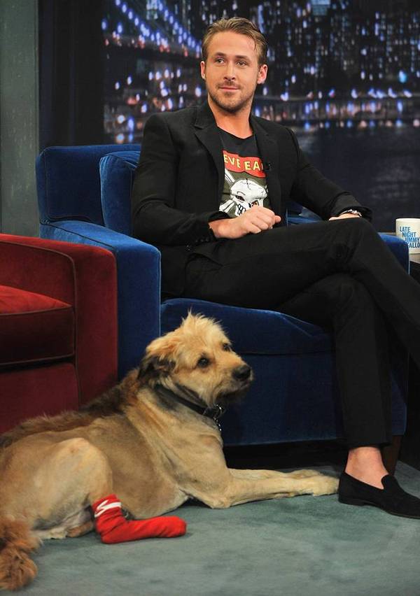 而 高司令的出街造型就更适合所有男士模仿学习 ,因为他穿的全是基本