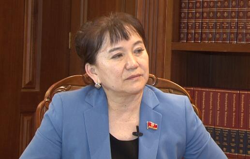 吉尔吉斯斯坦议员：“一带一路”有助推动世界经济 消除悲观论调