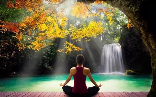 静坐十分钟 活过百年松