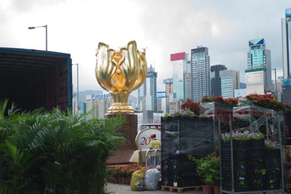 香港庆祝回归20周年 金紫荆广场布置鲜花