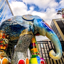 2017年8月1日，巴西圣保罗举办“大象游行”。
