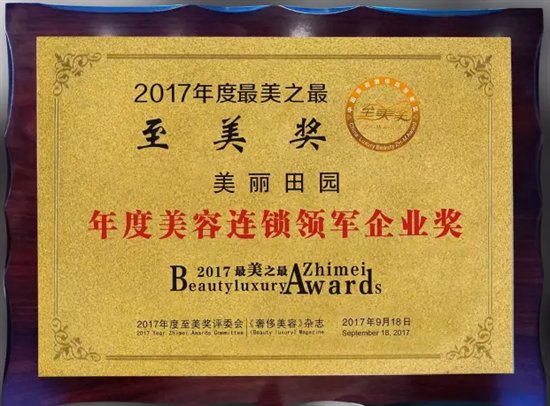 美丽田园生美 医美无缝衔接,荣获2017年至美奖可谓