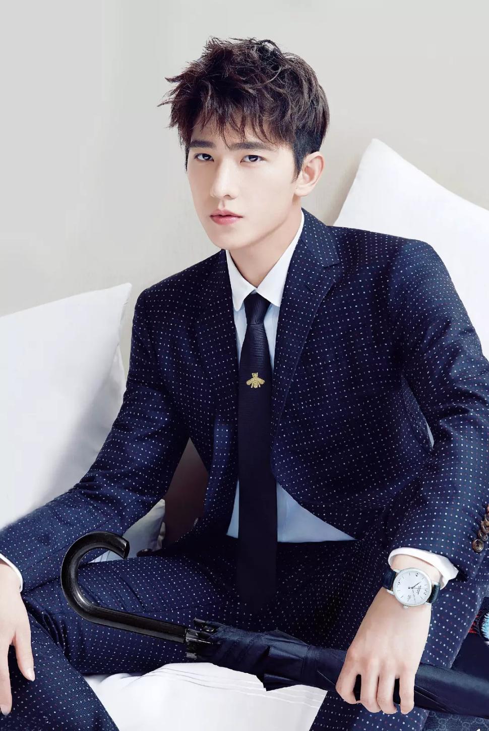 2017年年度十大时尚男艺人 黄子韬陈伟霆韩东君入选_娱乐_环球网