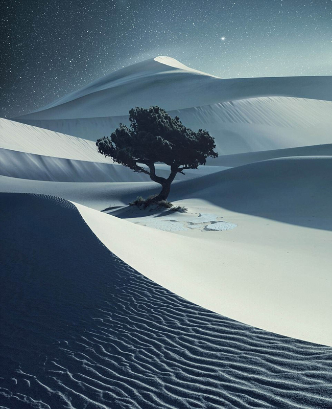 大饱眼福2018哈苏国际摄影大赛获奖作品