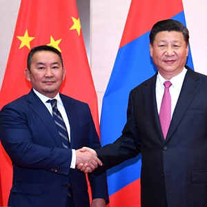 习近平会见蒙古国总统巴特图勒嘎