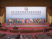 非洲媒体点赞中非合作论坛北京峰会：新的握手，新的拥抱，新的起点
