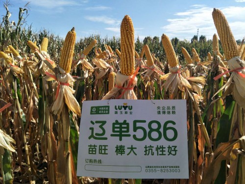 潞玉1611新品万人观摩会