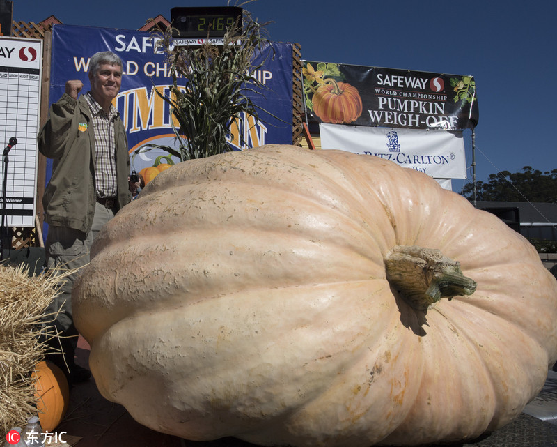 美国加州举办南瓜大赛 2000斤大南瓜称霸全场