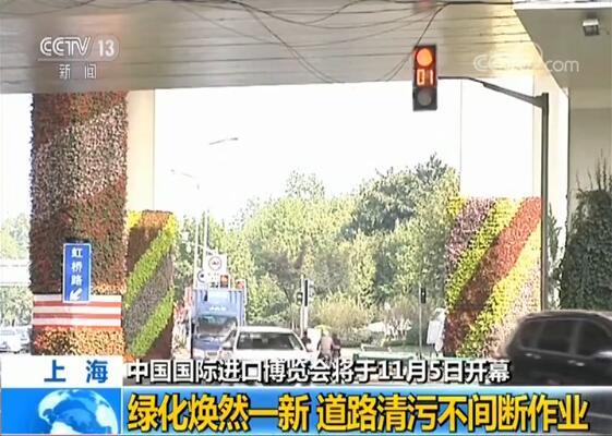 【中国国际进口博览会即将开幕】上海绿化焕然一新 道路清污不间断作业