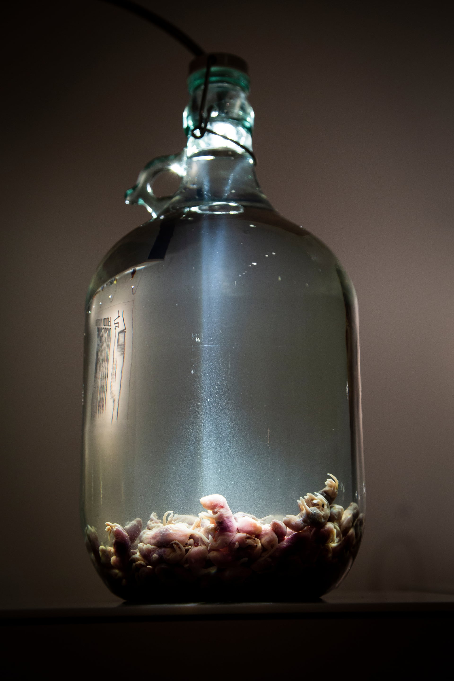 虽然博物馆收入了皮蛋,臭豆腐等中国常见小吃,但其他食物明显更为恶心