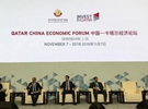 卡塔尔贸易工业部副大臣：进博会是中国为全世界搭建的重要沟通平台