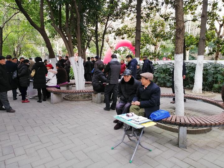 合肥市杏花公园相亲角聚集了不少为孩子相亲的家长.