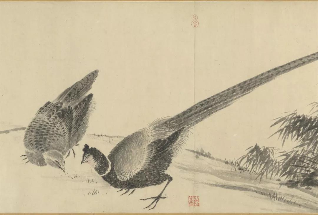 台北故宫"来禽图"特展:花开鸟鸣 春意盎然