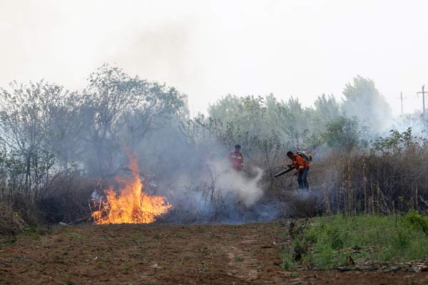 济南数十亩荒地着火 疑因烟头引燃