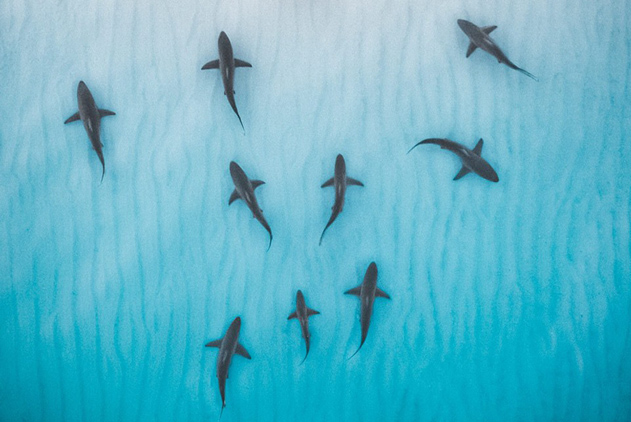 "天鸽"狂虐 通航飞机不幸遭殃